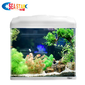 海星鱼缸水族箱 生态创意鱼缸