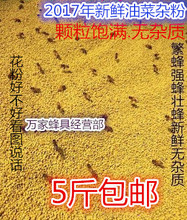 包邮 喂蜂花粉蜜蜂饲料花粉蜂粮新油菜杂粉500g养蜂5斤