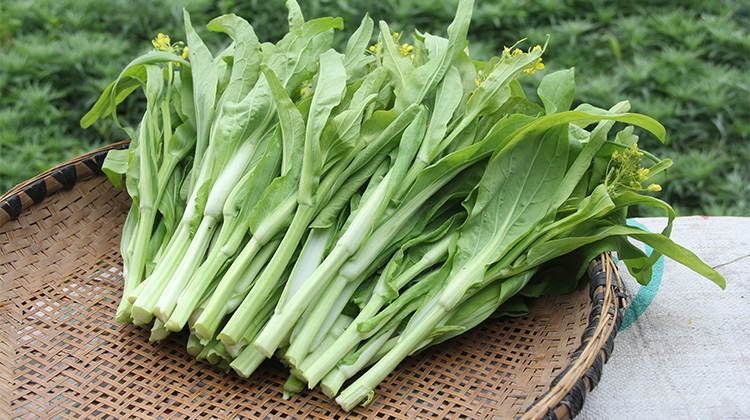 新鲜红菜苔紫菜苔 火锅食材白菜薹 有机蔬菜 荆州特产