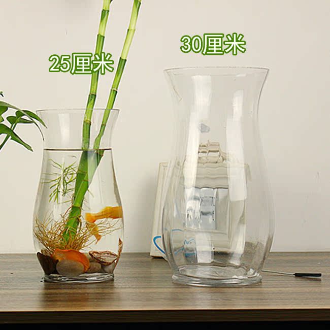 查看淘宝透明玻璃绿萝花瓶 恐龙蛋水培花瓶瓶子 富贵竹水养植物容器