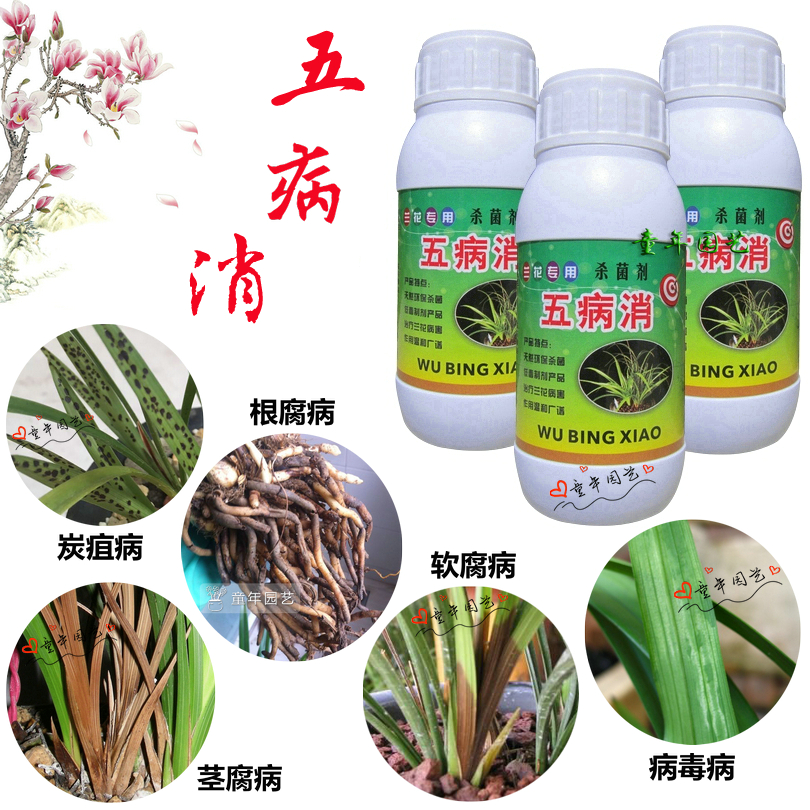 花卉专用药多菌灵百菌清高效杀菌剂兰花多肉植物消毒预防菌病