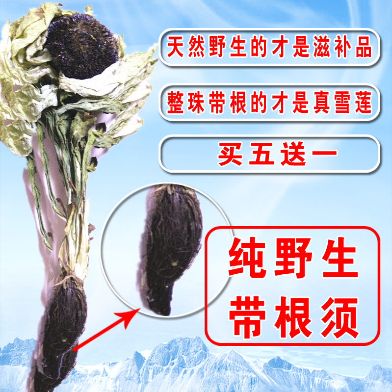 天山雪莲花正宗野生高海拔新疆雪莲花特产滋补中药材泡酒料包邮
