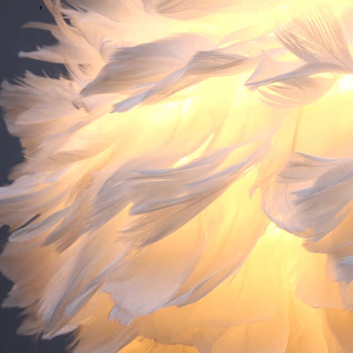 北欧温馨白色羽毛吊灯创意个性艺术女孩卧室公主房羽毛灯现代简约