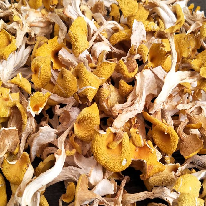 鸡油菌干货100克新货 云南特产天然野生菌食用蘑菇 煲汤很香