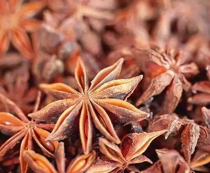 八角大料大茴香香料炒菜烧菜卤菜500g