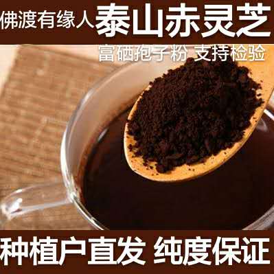 泰山赤灵芝孢子粉头道破壁灵芝长白山买2送1包邮农户自产
