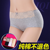 翘臀裤 女纯棉透气中腰棉质面料提臀三角裤 纯色盒装 头大码 夏天内裤