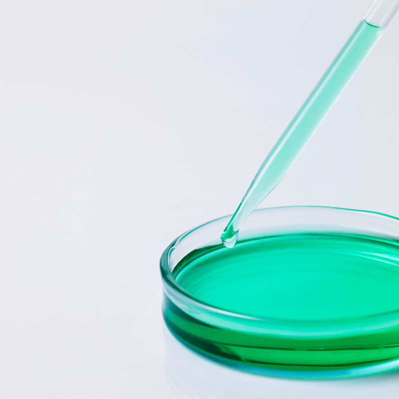 中申科教 90mm玻璃培养皿生物实验仪器 玻璃平皿细菌组织培养皿