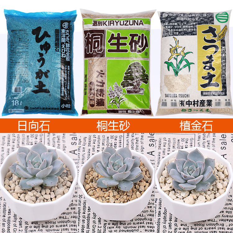 日本桐生砂植金石日向石 兰花多肉植物颗粒盆