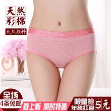 女士内裤 头CK2 纯棉质中性青年大宽边腰带三角运动彩棉底裤 包邮 4条