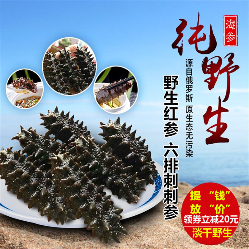 俄罗斯野生海参 深海淡干海参六排刺参 进口红