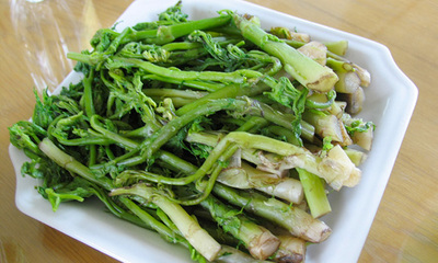 苦力芽 承德山野菜 苦木 苦隆芽 苦力芽 野芹菜升麻菜 新鲜嫩蔬