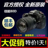 200 单反相机 套机 全新国行 135USM 佳能80D 单机 Canon