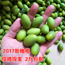 包邮 清胎毒孕妇水果沙榄白榄2斤 现摘潮汕新鲜青橄榄生青果500克