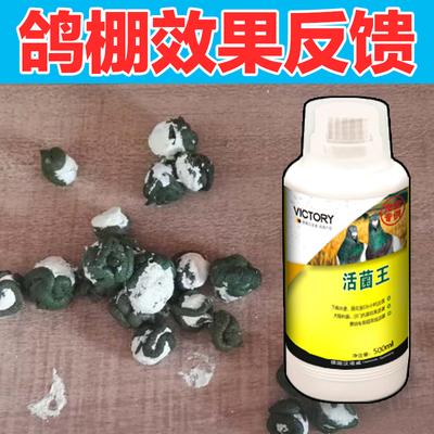 鸽药汉诺威活菌王赛鸽肠道调理保健信鸽鹦鹉下痢水绿便肠炎鸽子药