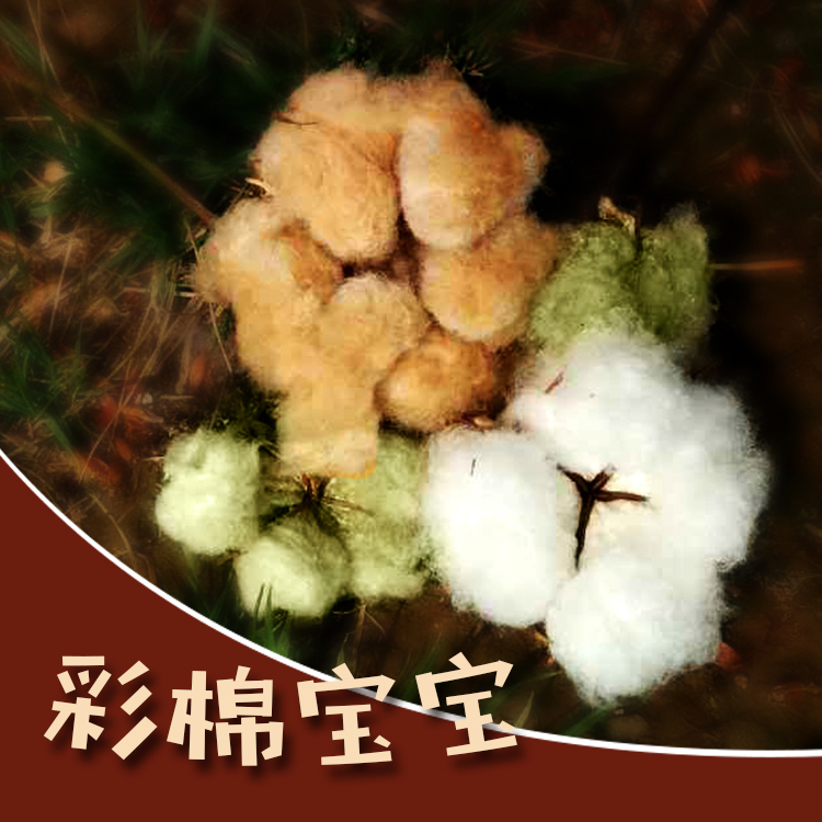 药用棉籽心脏棉花籽棉籽仁棉仁心脏棉花种子棉花子去壳可食用包邮