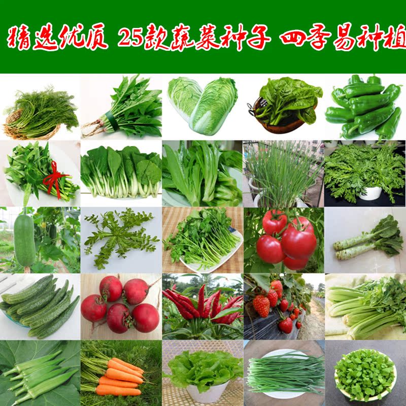 查看淘宝四季蔬菜种子套餐阳台盆栽庭院春夏秋季播菜籽花卉水果草莓韭