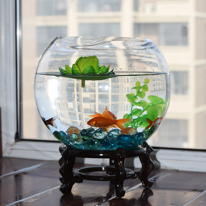 水培花瓶 金鱼缸 玻璃 水族箱小型创意生态圆形 迷你造景培装饰