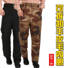 冬季男女 加大加厚防寒保暖真皮羊毛棉裤 子皮毛一体裤 中老年羊皮裤