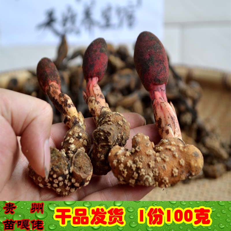 内蒙古野生肉苁蓉硬大芸 阿拉善肉苁蓉500g泡茶泡酒切片肉苁蓉片