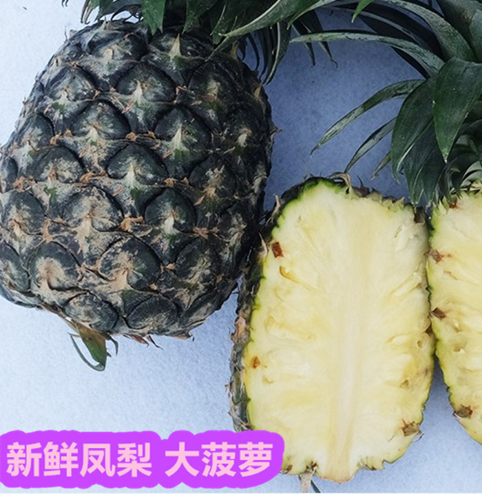 现货西双版纳无眼凤梨 新鲜菠萝 香水大菠萝 热带新鲜水果5斤包邮