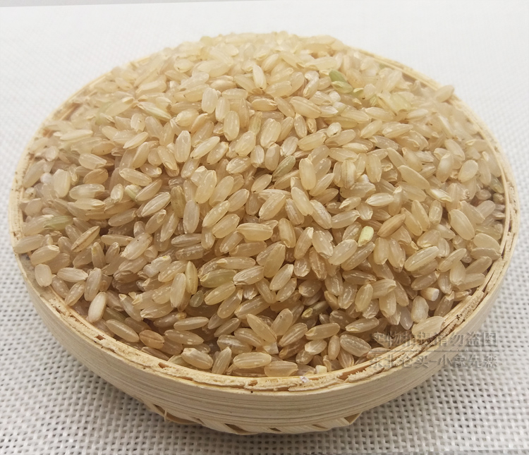 16年糙米新米东北大米黑龙江特产粳米农家自产胚芽玄米能发芽 5斤