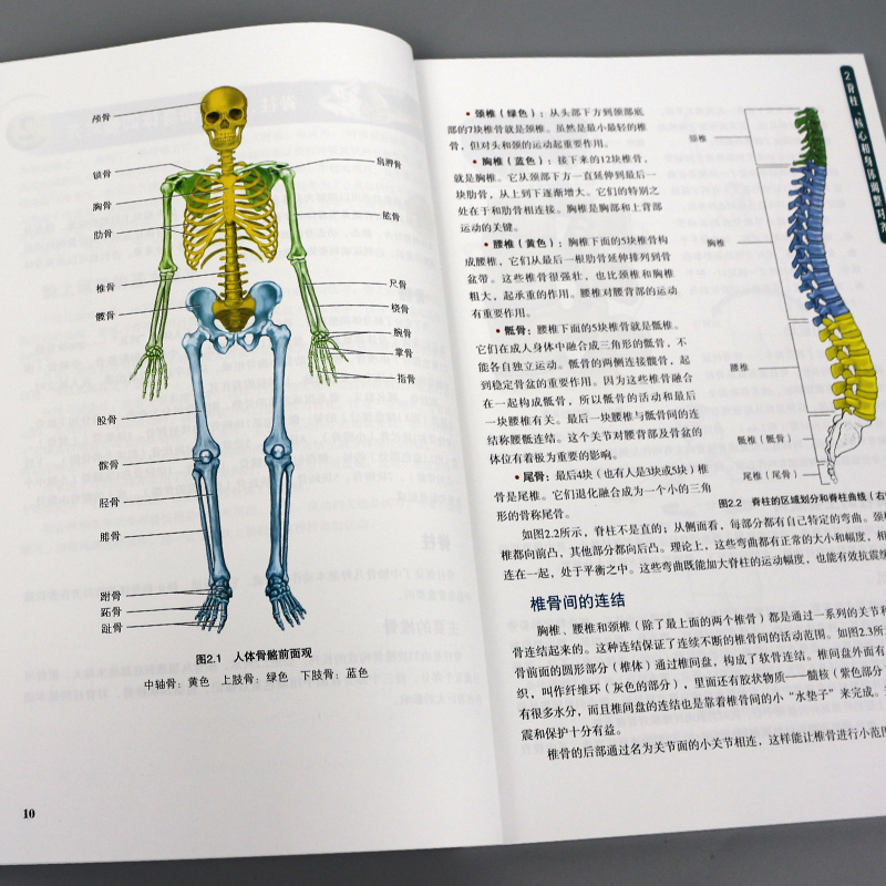 包邮 普拉提解剖学 提高核心稳定性和平衡性的垫上运动图解指南