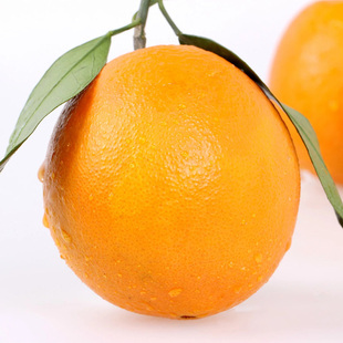 现摘夏橙大果5斤秭归脐橙包邮新鲜孕妇时令水果子非伦晚赣南褚橙