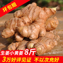 生姜8斤云南罗平农家土姜月子姜鲜姜老生姜 老姜新鲜生姜 小黄姜
