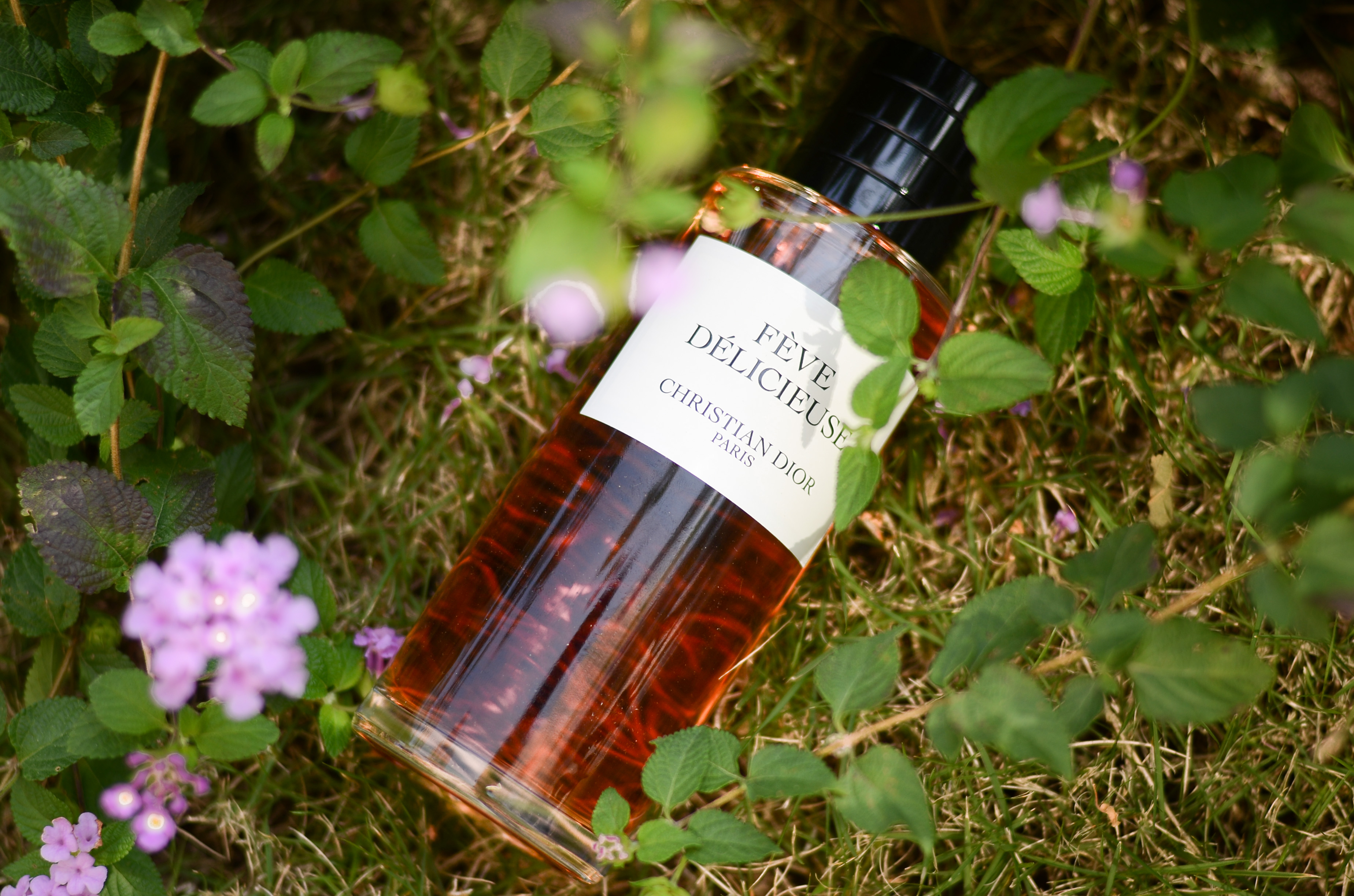 dior feve delicieuse 迪奥典藏系列-香薰豆 香水 250