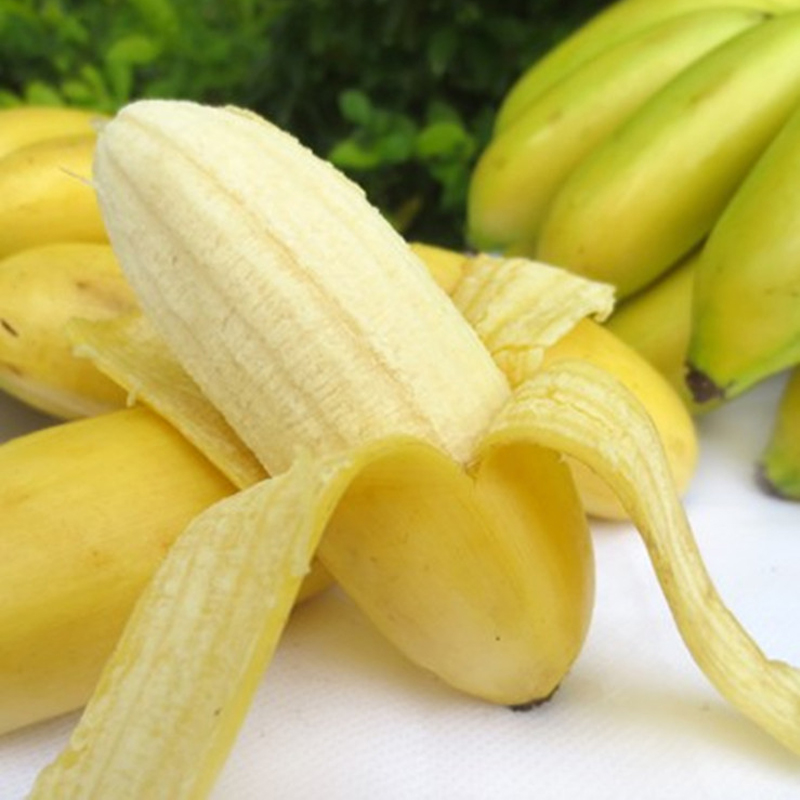 海南特产新鲜水果皇帝蕉5斤送3斤 帝王蕉非小米蕉 banana香蕉包邮