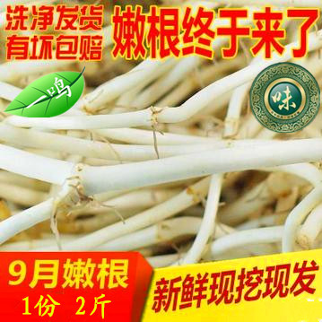 （天天特价 ）一鸣百味 农家新鲜鱼腥草（节节根.折耳根）