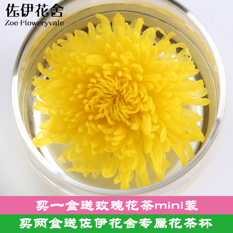 佐伊花舍金丝皇菊黄菊大菊花茶一朵一杯修水黄菊花15朵装菊花草茶