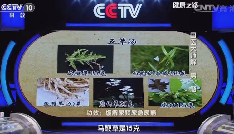中药材 鱼腥草 白花蛇舌草 马鞭草 虎杖等 10付包邮
