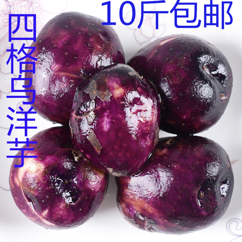 贵州特产四格乌洋芋紫色马铃薯七彩土豆紫皮洋芋 乌洋芋土豆洋芋