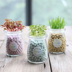 防辐射迷你小盆栽