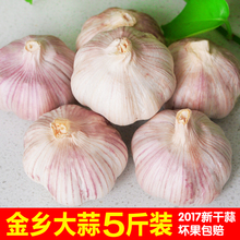 包邮 5斤大蒜头特产 山东金乡大蒜2017年紫皮红新干蒜低价