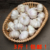 低价 干蒜头干蒜2017新大蒜头3斤 包邮 新鲜大蒜头 农家大蒜头