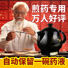 煎中医壶熬中药砂锅电煎药罐煲药锅炖药器电药煲煮药机电子药罐子