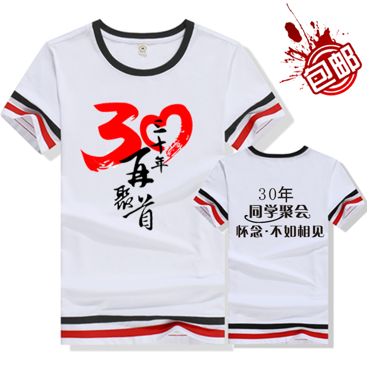 20周年同学聚会t恤定制夏季毕业纪念班服短袖定做致青春文化衫