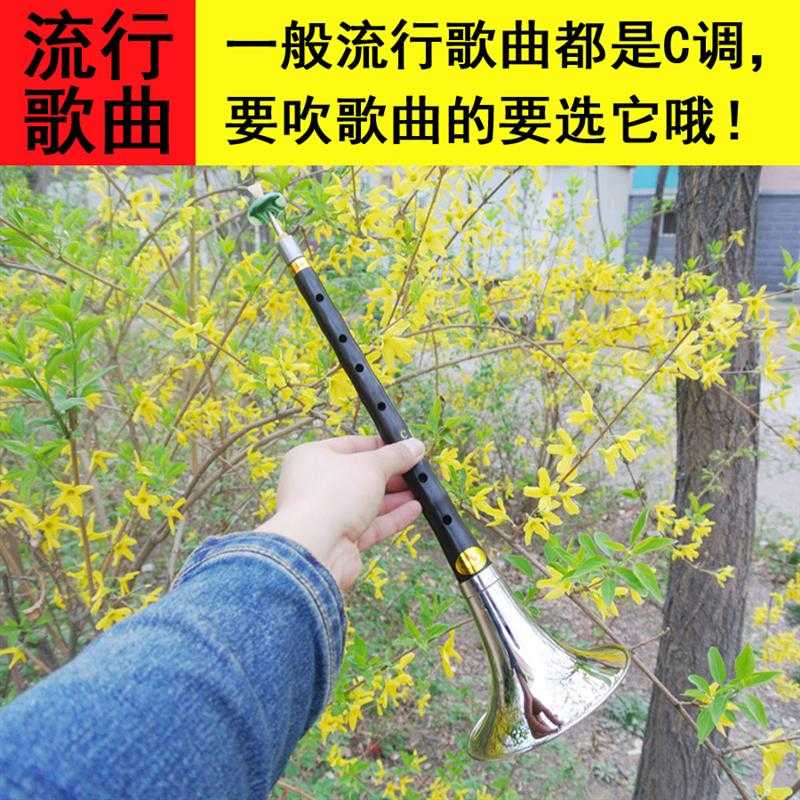唢呐乐器 初学者成人乌木唢呐c调套民族吹奏乐器送哨片流行歌曲