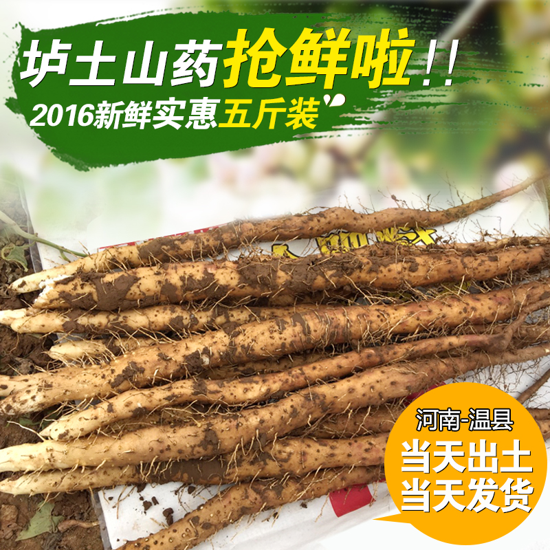 豆豆垆土山药河南省温县正宗铁棍山药新鲜铁杆怀淮山药怀山药包邮