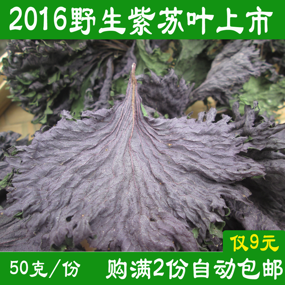2016野生天然晒干紫苏叶去腥烧鱼虾蟹必备香料解表散寒紫苏叶包邮