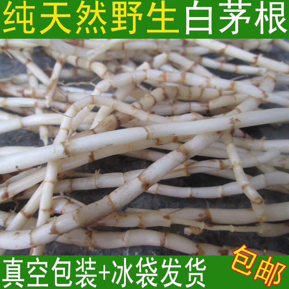 野生新鲜白茅根中草药黄毛草须现挖茅草根真空包装100克*5袋包邮
