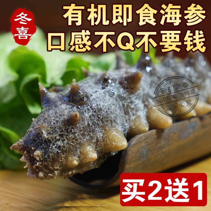 冬喜即食海参野生海参辽参大连高压刺参无添加500g包邮买2送1
