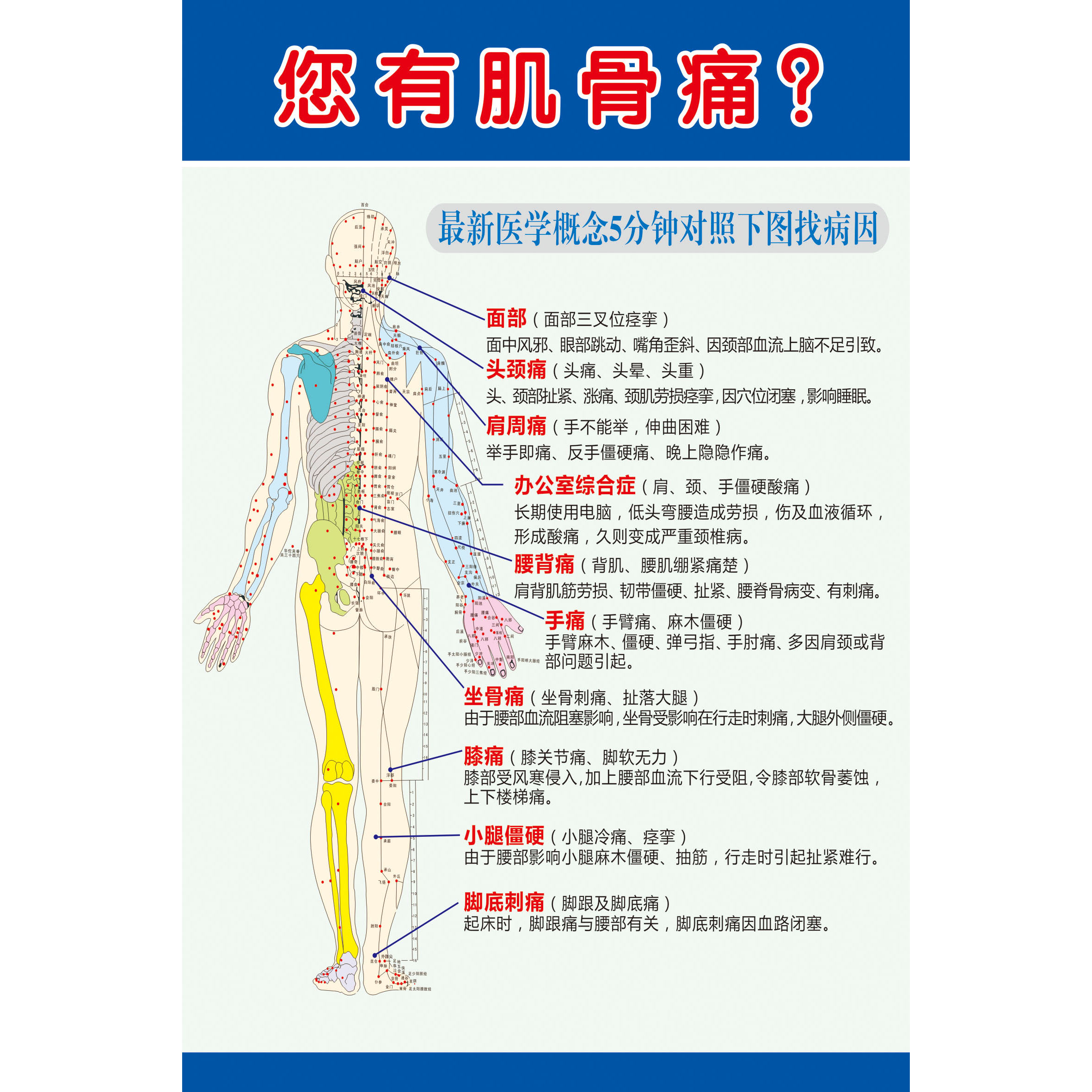 医院养生馆中医养身肌骨痛医学找病因经络穴位中医宣传海报纸挂画