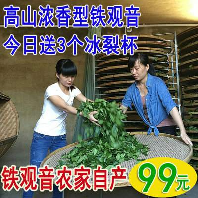 安溪铁观音 新秋茶 浓香型特级铁观音 茶叶正品 乌龙茶叶500g包邮