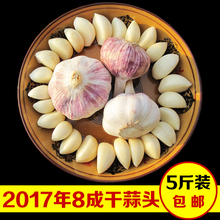 左右新鲜 独蒜头紫皮大蒜5斤干蒜5元 包邮 大蒜头2017干蒜头农家低价