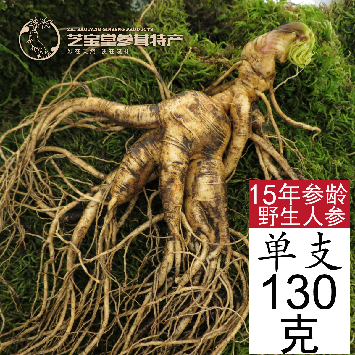 长白山人参野山参鲜人参特大野生人参移山参东北鲜人参林下参泡酒