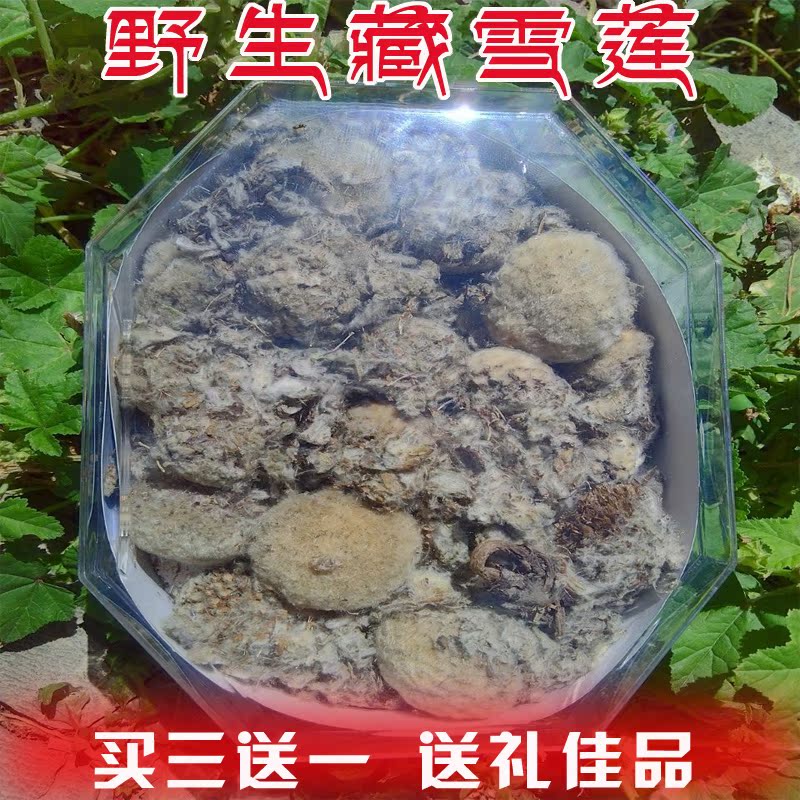 青藏雪域高原野生藏雪莲花原生态天然首选特级送礼自用最佳品50g